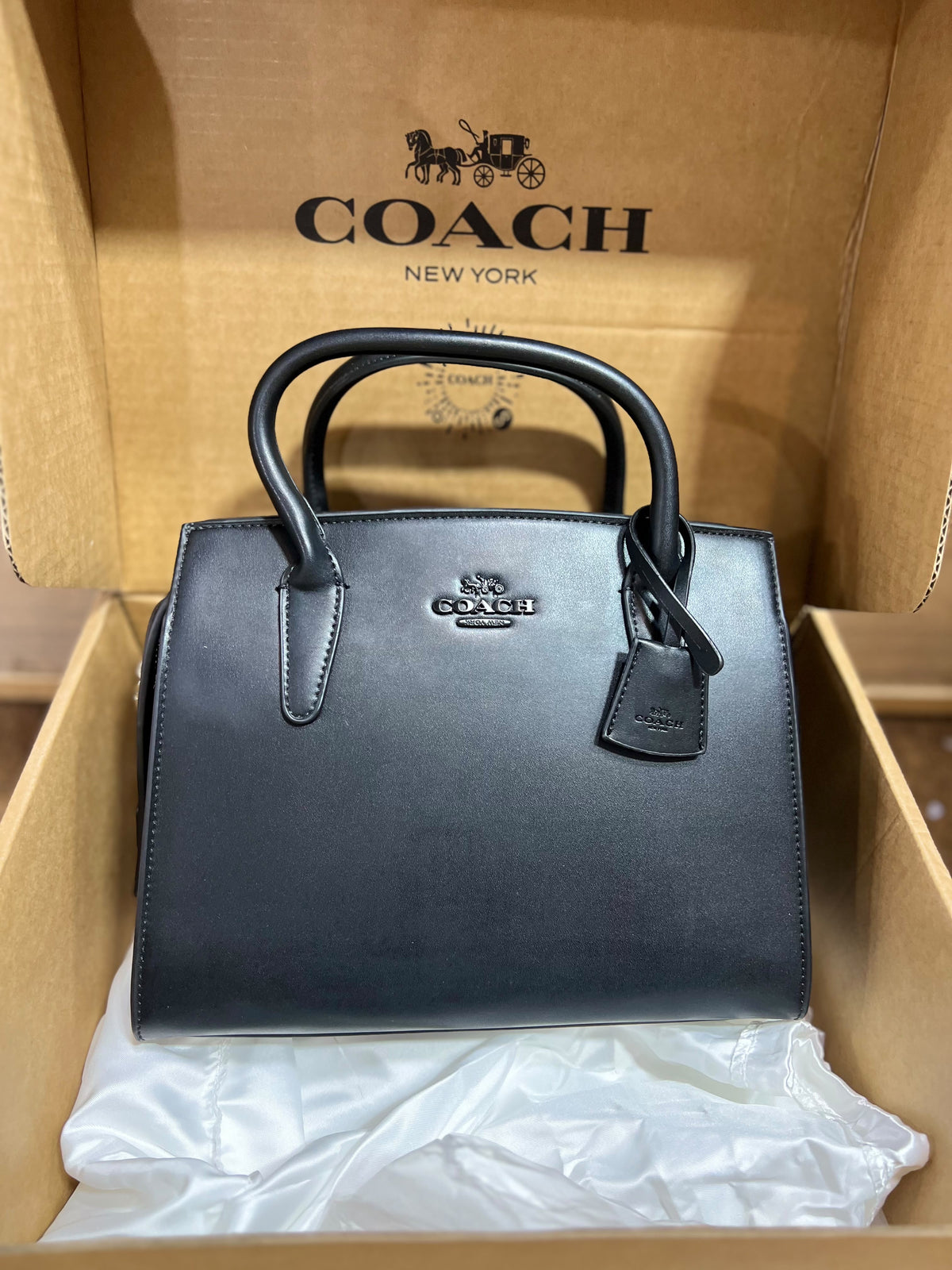 Co@ch Andrea CarryAll Bag