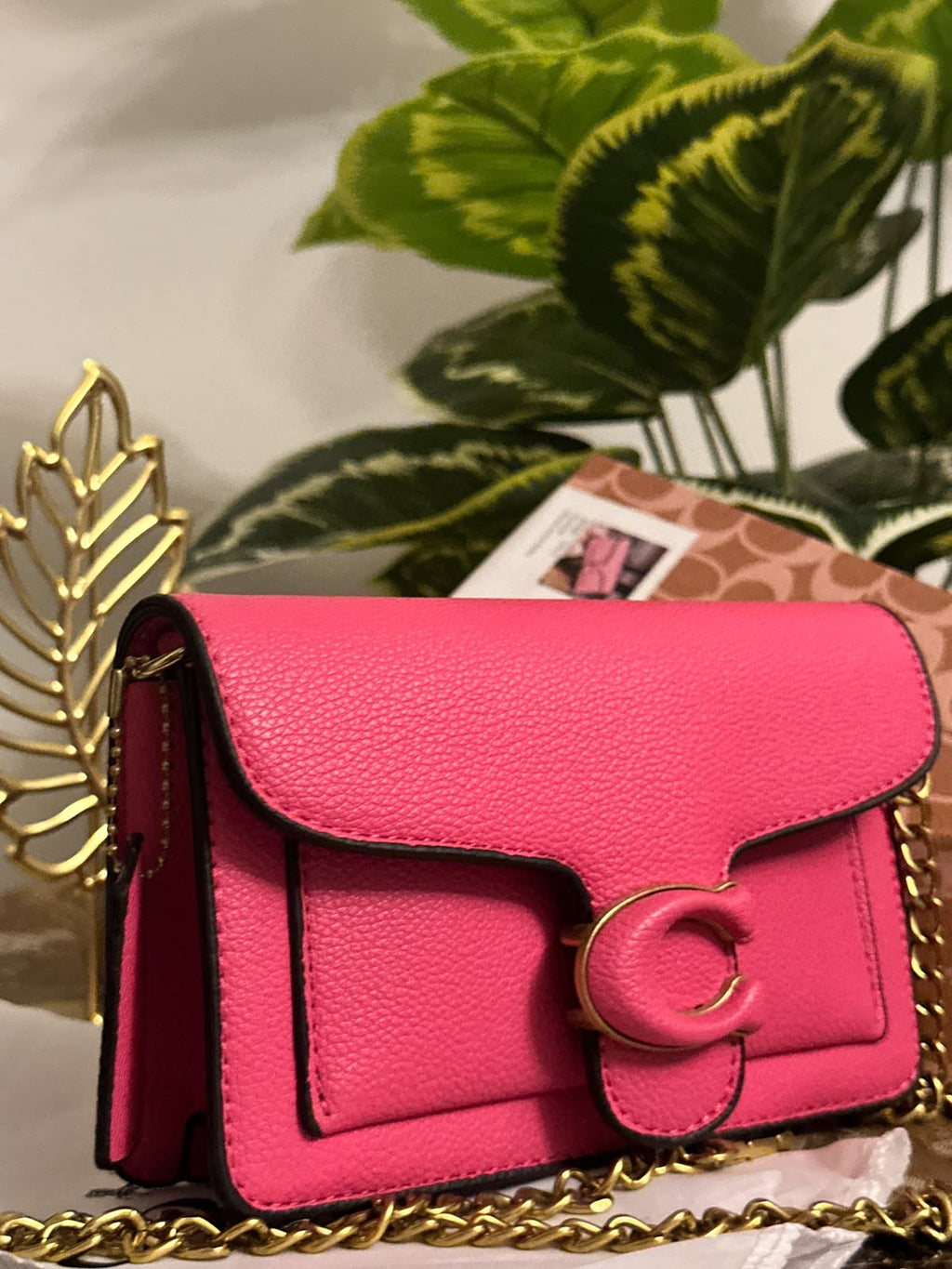 Co@ch tabby clutch - Pink BOX PACKING