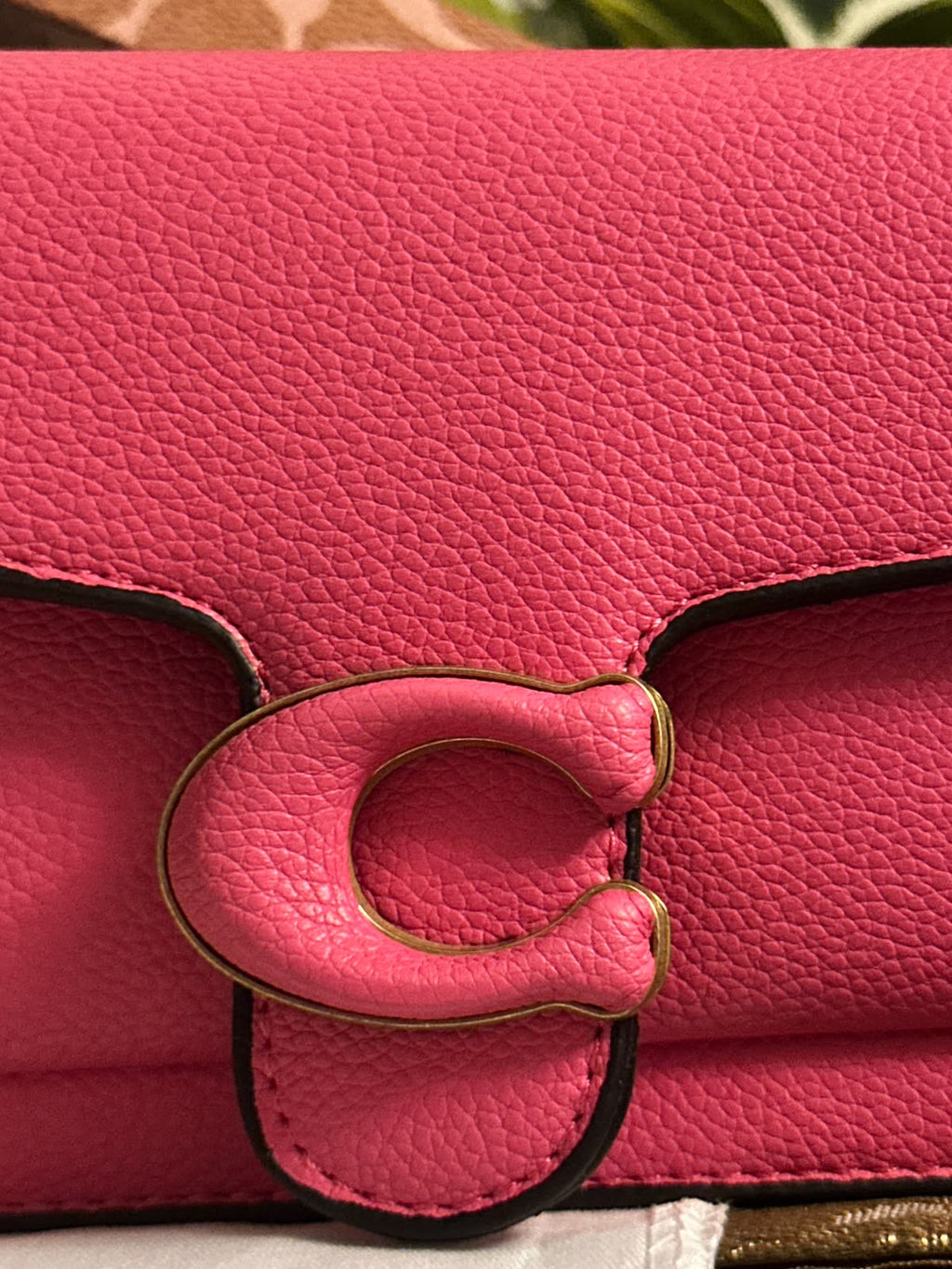 Co@ch tabby clutch - Pink BOX PACKING