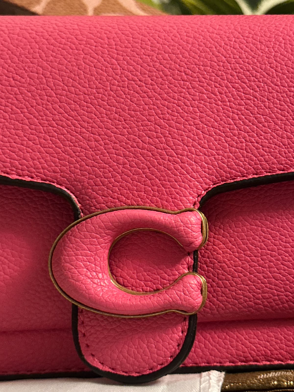 Co@ch tabby clutch - Pink BOX PACKING